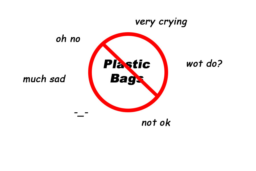 Quick Thoughts: Plastic Bag Ban