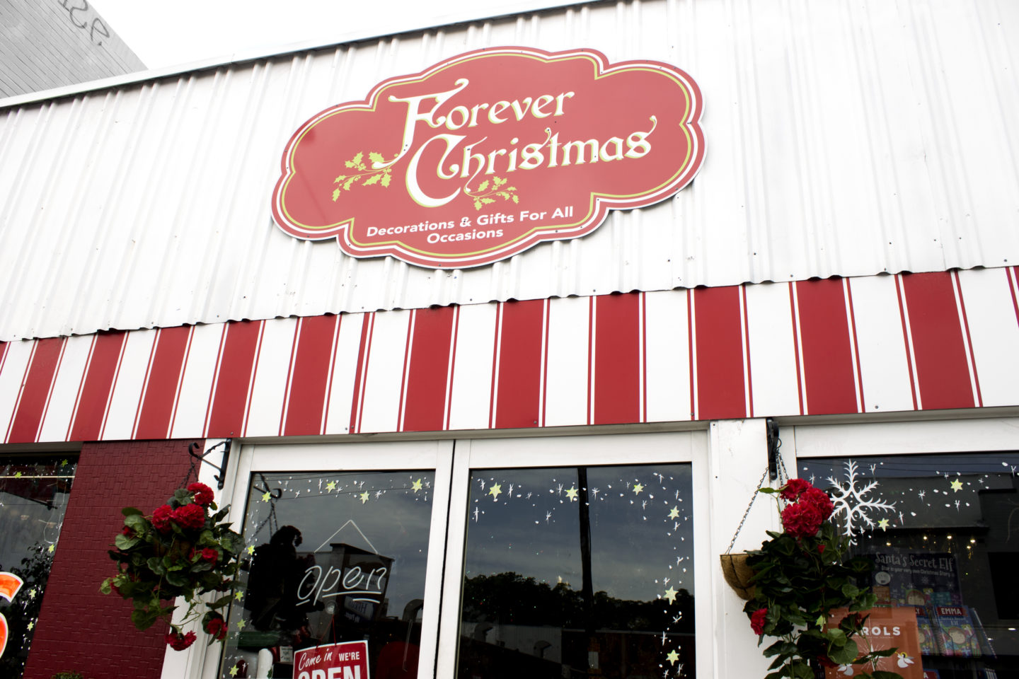 Forever Christmas (The Best Christmas Store in The Hunter) | Claire Ince