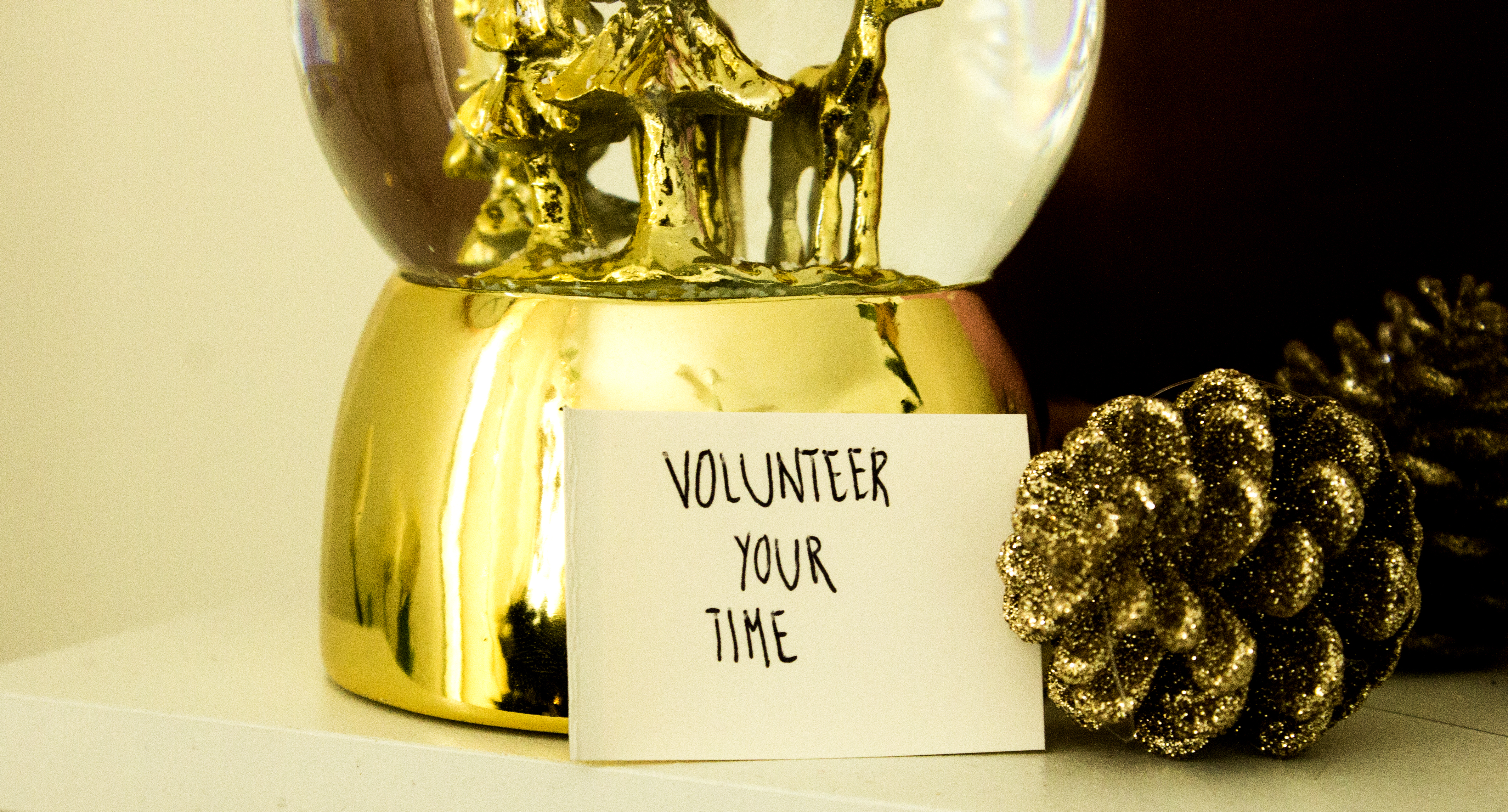 volunteer your time